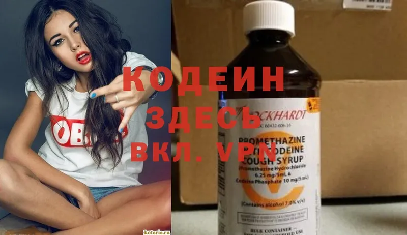 Кодеин напиток Lean (лин)  купить закладку  Камышлов 